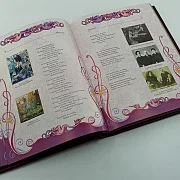 Книга "Серебряный Век Русской поэзии " — красивый подарок — фотография 3