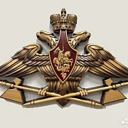 На память: Резной герб МТО ВС РФ из бука — фотография 1