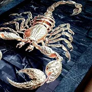 Подарочные нарды под стеклом «Золотой скорпион» — фотография 4